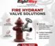 Fire Hydrant Valve in Pakistan
